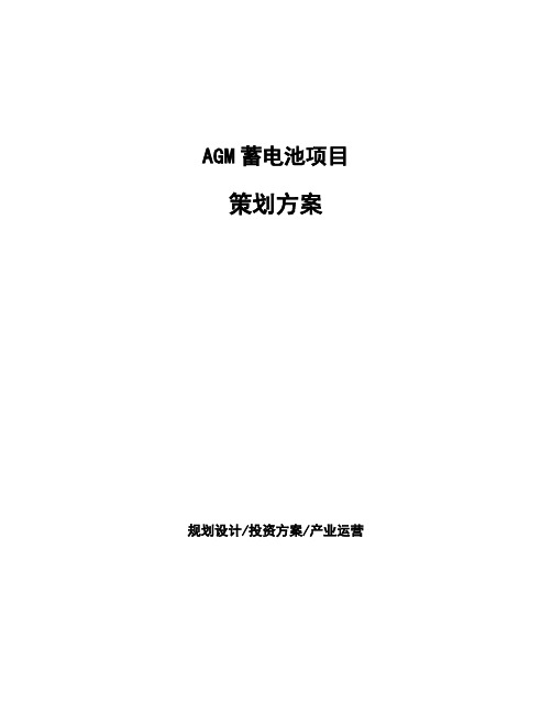 AGM蓄电池项目策划方案