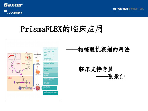 枸橼酸抗凝——讲课