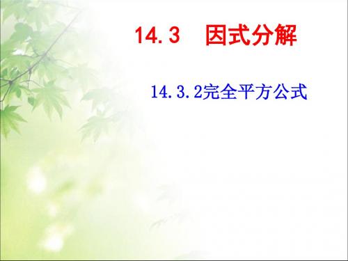 (人教版) 完全平方公式  教学PPT课件1