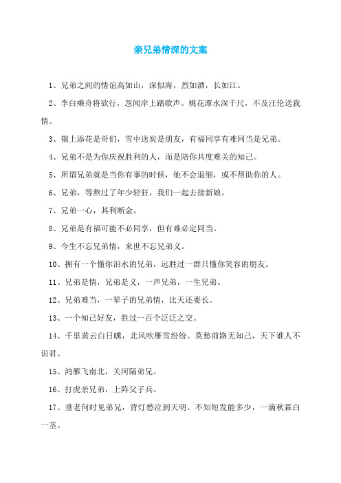 亲兄弟情深的文案