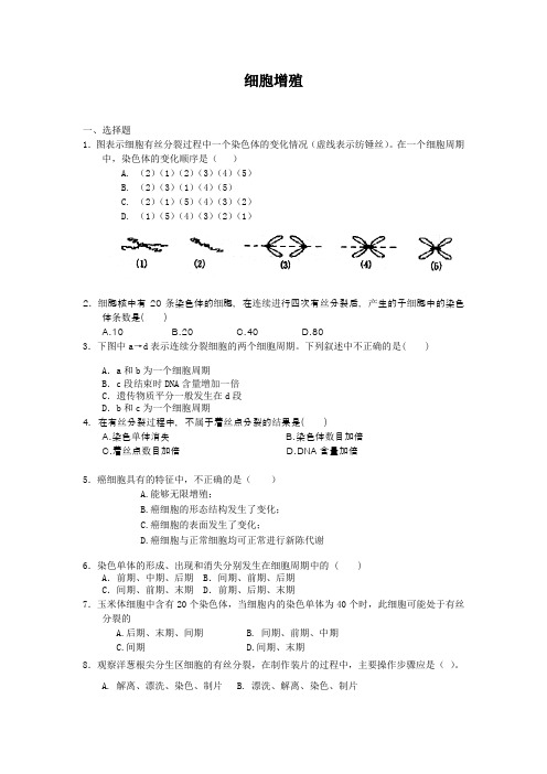 5.1细胞增殖每课一练24(苏教版必修1)