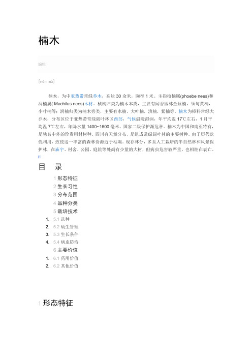 楠木