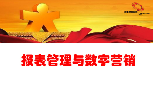 报表管理与数字营销(ppt文档可编辑修改)