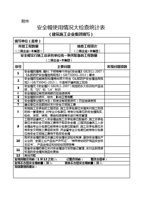 安全帽使用情况大检查统计表