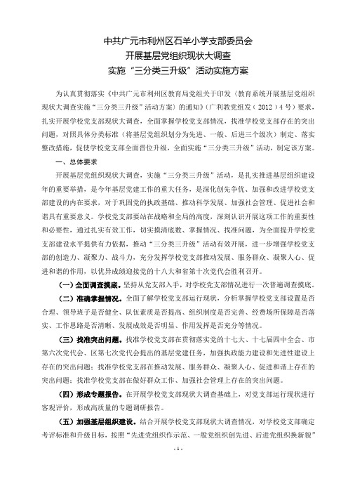 石羊小学三分类三升级实施方案