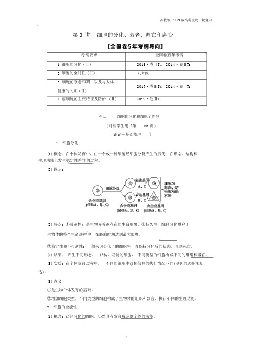 2019版高考生物一轮复习第4单元细胞的增殖分化衰老和凋亡第3讲细胞的分化衰老凋亡和癌变.docx