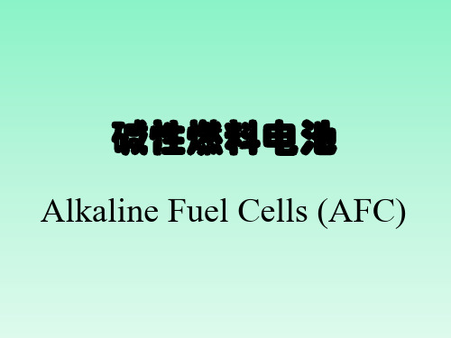 碱性燃料电池分析