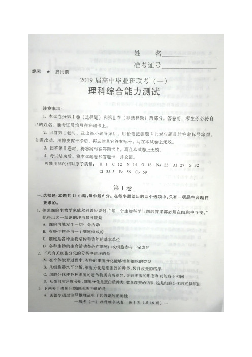 【衡阳联考(一)】湖南省衡阳市2019届高三下学期第一次联考 理科综合(含答案)(2019.2)