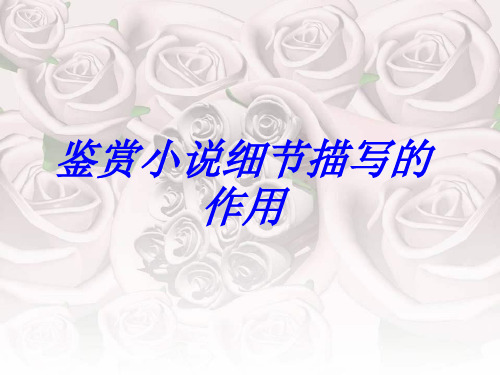 鉴赏小说细节描写的作用