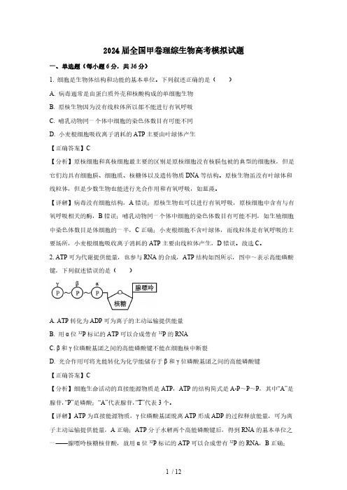 2024届全国甲卷理综生物高考模拟试题(含答案)