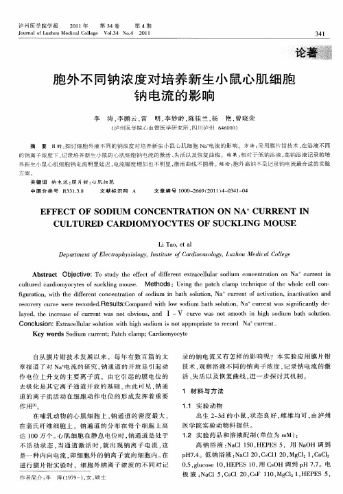 胞外不同钠浓度对培养新生小鼠心肌细胞钠电流的影响