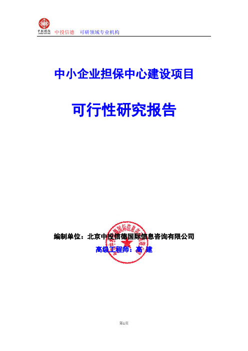 中小企业担保中心建设项目可行性研究报告编制格式说明(模板型word)
