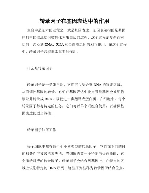 转录因子在基因表达中的作用