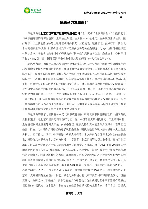 绿色动力集团简介