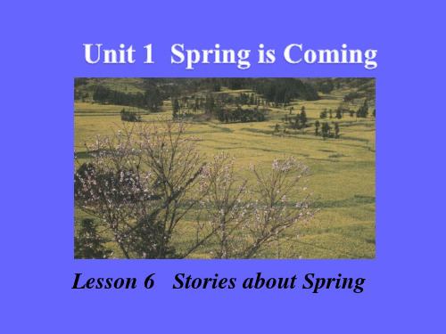 冀教版初中英语八年级下册 精品课件 Unit 1 Lesson 6(共31张PPT)