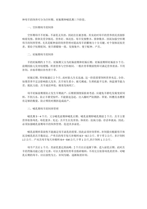 种母羊春季饲养管理要点