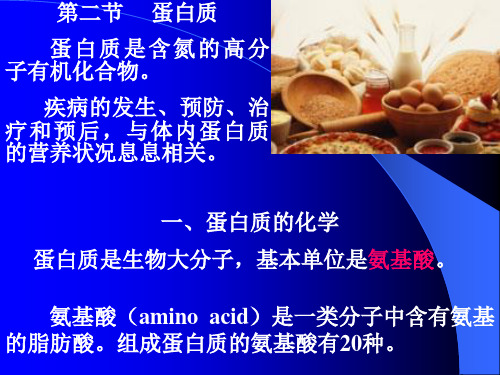 1营养学基础-2-蛋白质