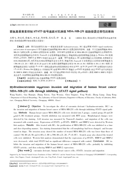 联氨基姜黄素抑制STAT3信号通路对乳腺癌MDA-MB-23(精)