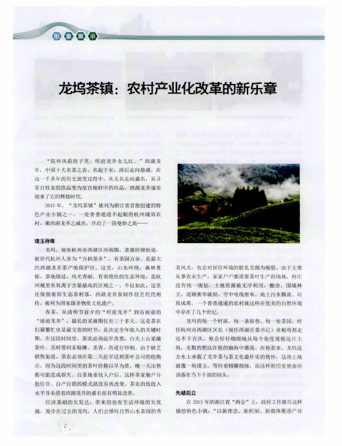 龙坞茶镇：农村产业化改革的新乐章