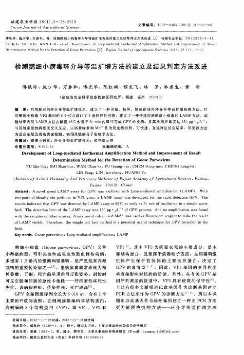 检测鹅细小病毒环介导等温扩增方法的建立及结果判定方法改进