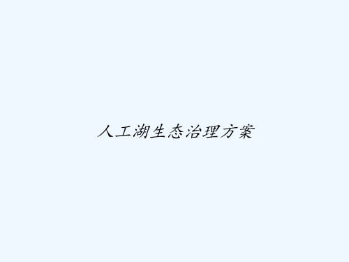 人工湖生态治理方案 PPT