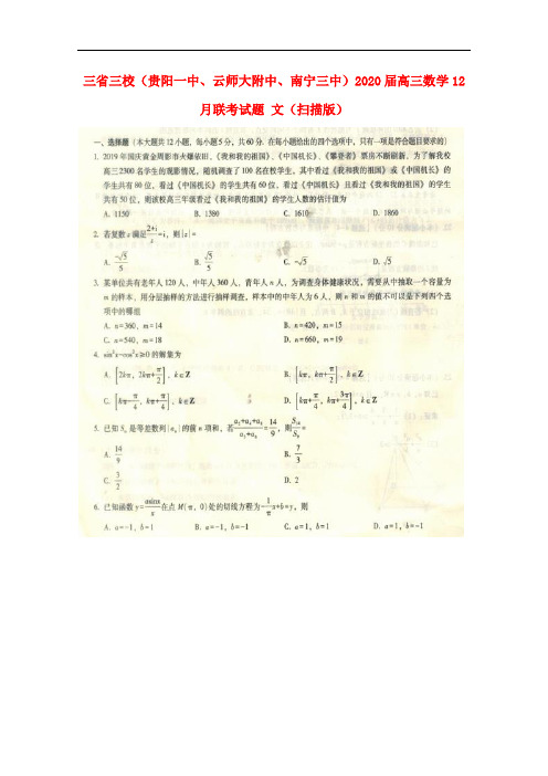 三省三校(贵阳一中、云师大附中、南宁三中)2020届高三数学12月联考试题 文(扫描版)