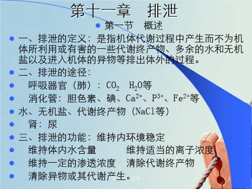 第十一章排泄
