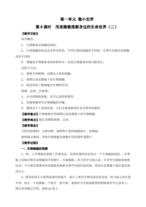 最新教科版六年级科学下册《用显微镜观察身边的生命世界(二)》精品教案