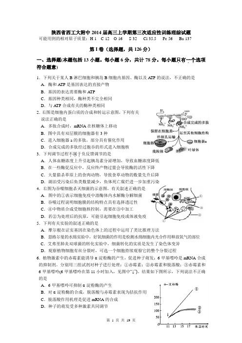 陕西省西工大附中2014届高三上学期第三次适应性训练理综试题