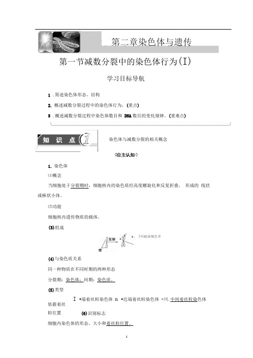 浙科版必修2第2章第1节减数分裂中的染色体行为(Ⅰ)学案