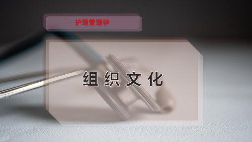 组 织 文 化