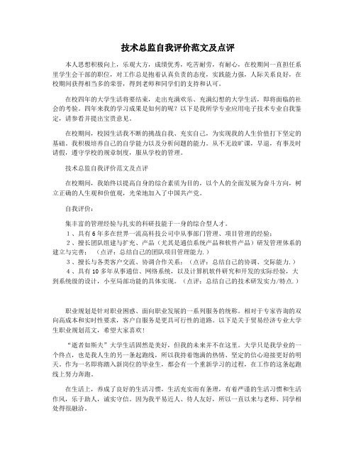技术总监自我评价范文及点评