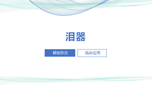 泪器课件ppt