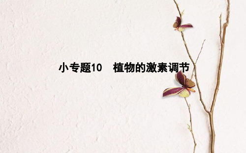 高考生物二轮复习 小专题10 植物的激素调节课件.pptx