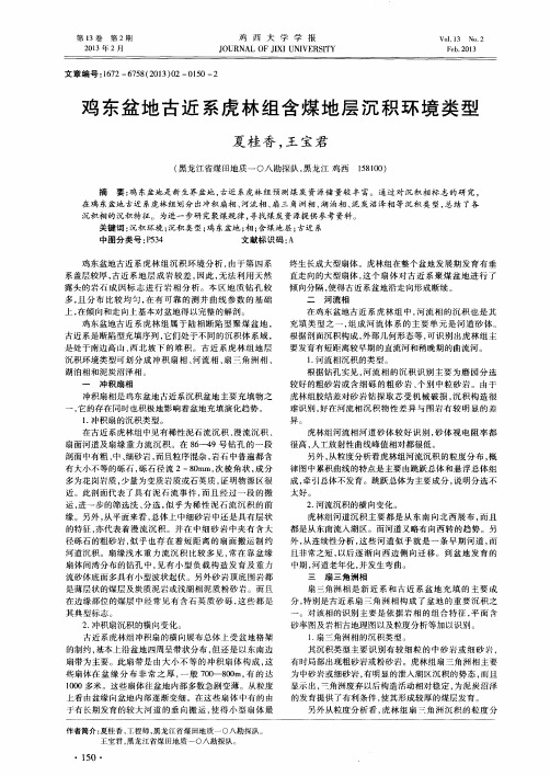 鸡东盆地古近系虎林组含煤地层沉积环境类型