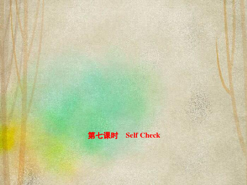 聊城市九中七年级英语下册 Unit 12 What did you do last weekend第