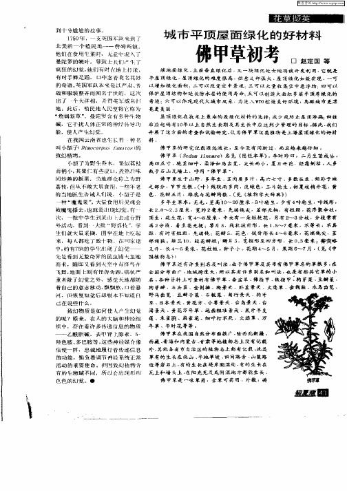 城市平顶屋面绿化的好材料佛甲草初考