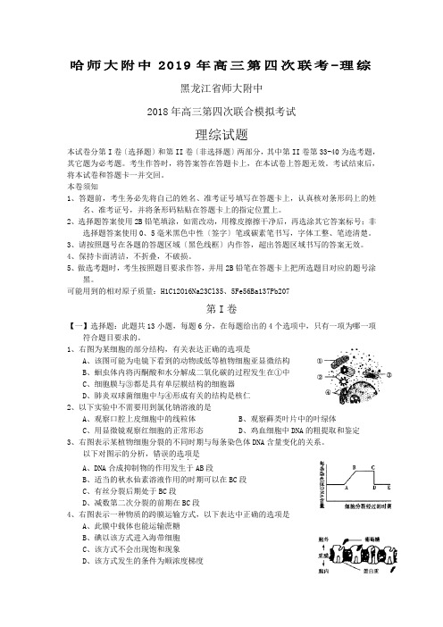 哈师大附中2019年高三第四次联考-理综