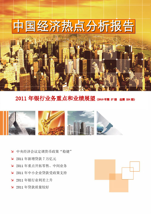 中国经济热点分析报告2010年第