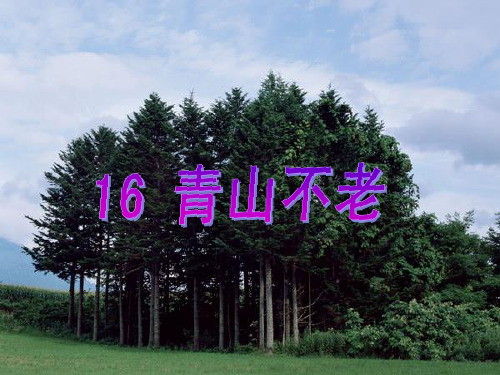 《青山不老》教学课件.ppt