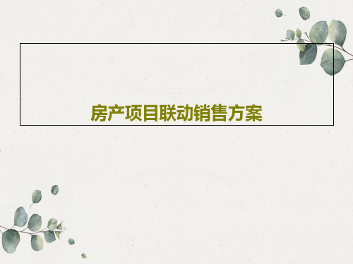 房产项目联动销售方案共18页PPT