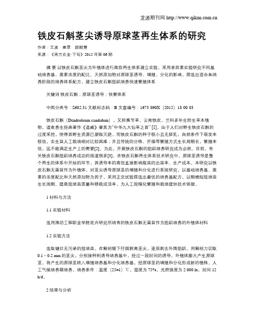 铁皮石斛茎尖诱导原球茎再生体系的研究