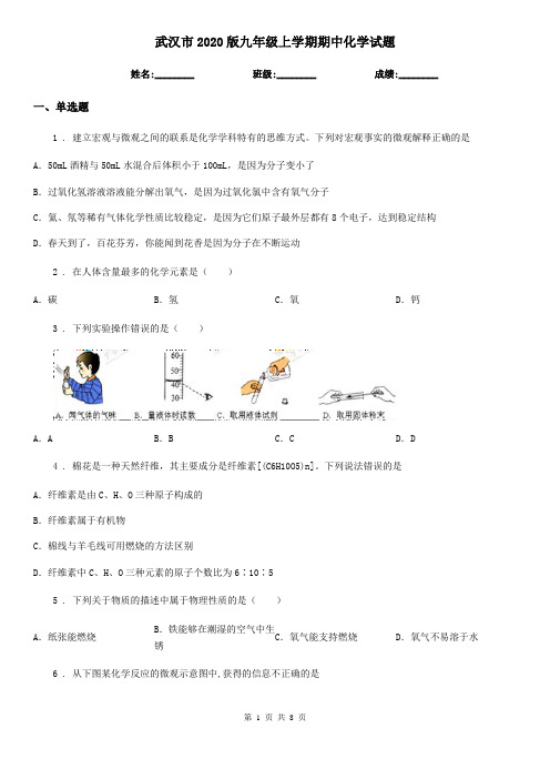 武汉市2020版九年级上学期期中化学试题