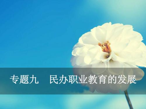 民办职业教育的发展