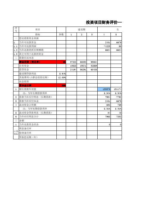 投资项目可研财务评价指标表(自动)--