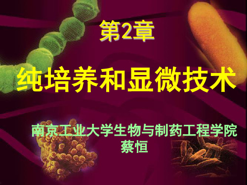 第2章纯培养和显微技术