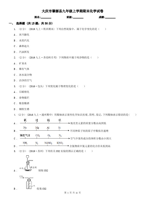 大庆市肇源县九年级上学期期末化学试卷