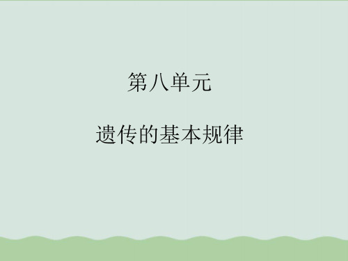 高三生物复习课件合集(细胞的分子组成)PPT课件全解(15个) 通用13