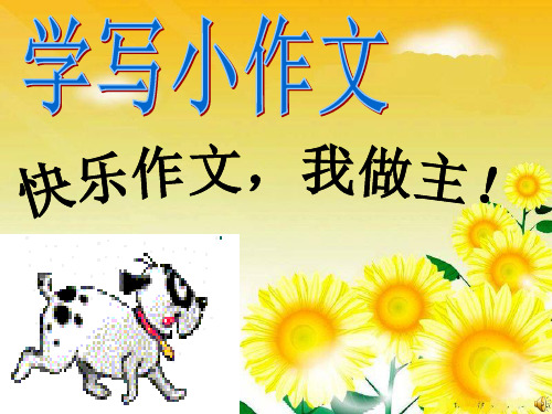 小金鱼优秀课件.ppt