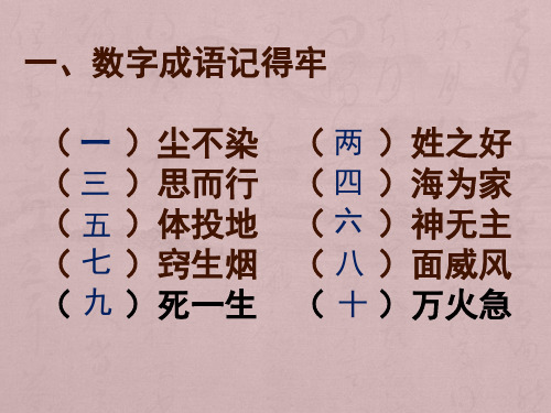 小学生趣味成语PPT课件